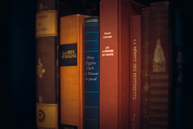 Détail de la bibliothèque, dos de livres anciens
